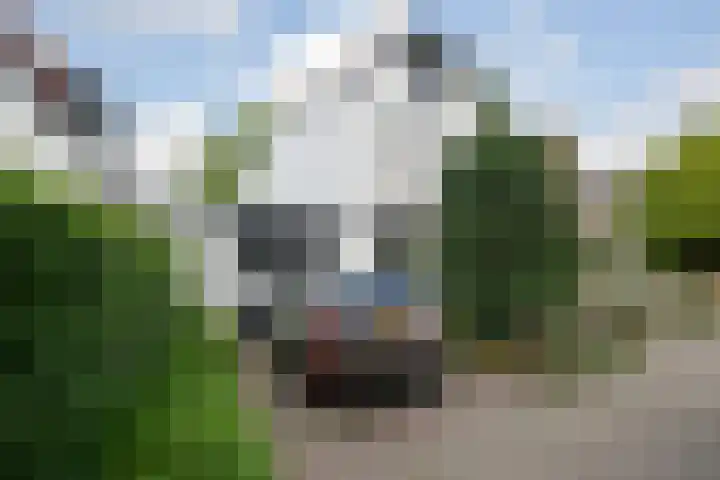 Ogierssingel 49 B Rotterdam thumbnail 46