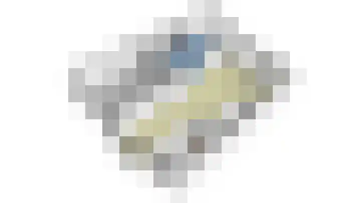Ogierssingel 49 B Rotterdam thumbnail 48