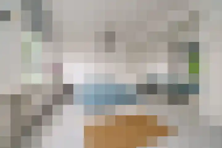 Ogierssingel 49 B Rotterdam thumbnail 5