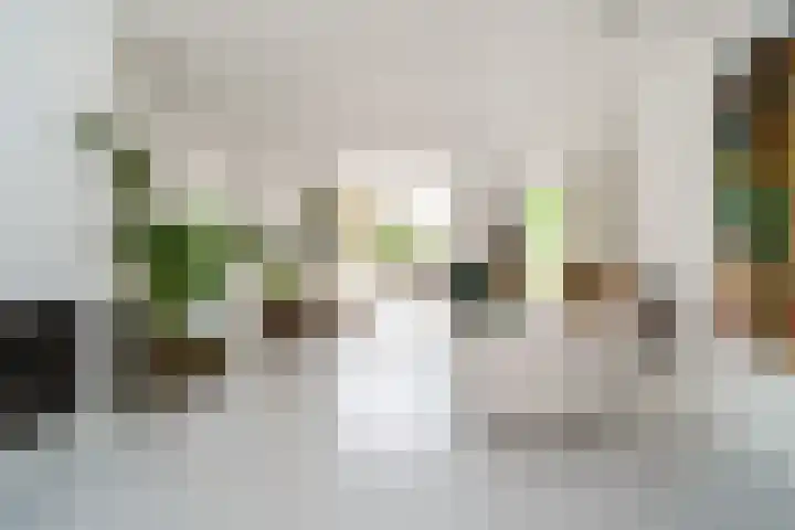 Ogierssingel 49 B Rotterdam thumbnail 6