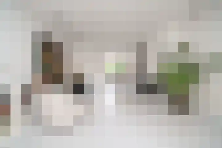 Ogierssingel 49 B Rotterdam thumbnail 7