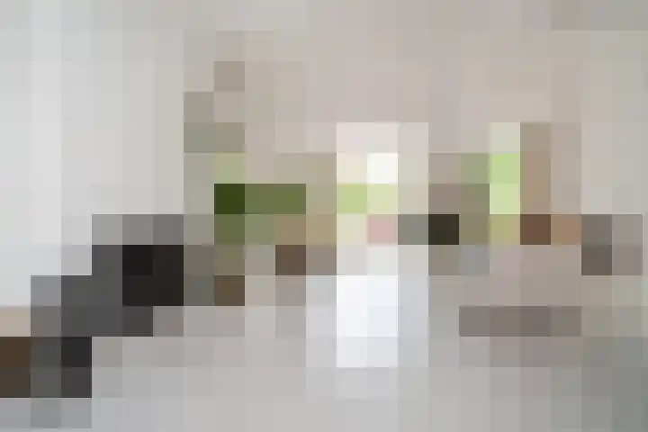 Ogierssingel 49 B Rotterdam thumbnail 8