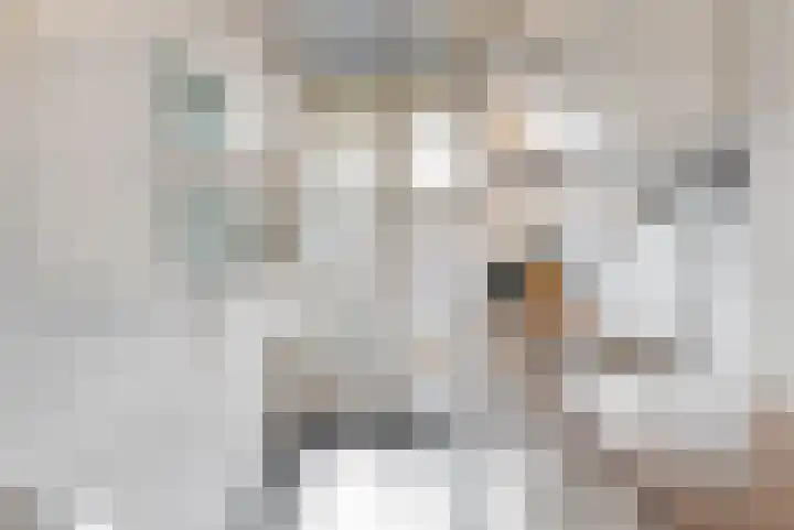 Ohmstraat 1 H Amsterdam thumbnail 12