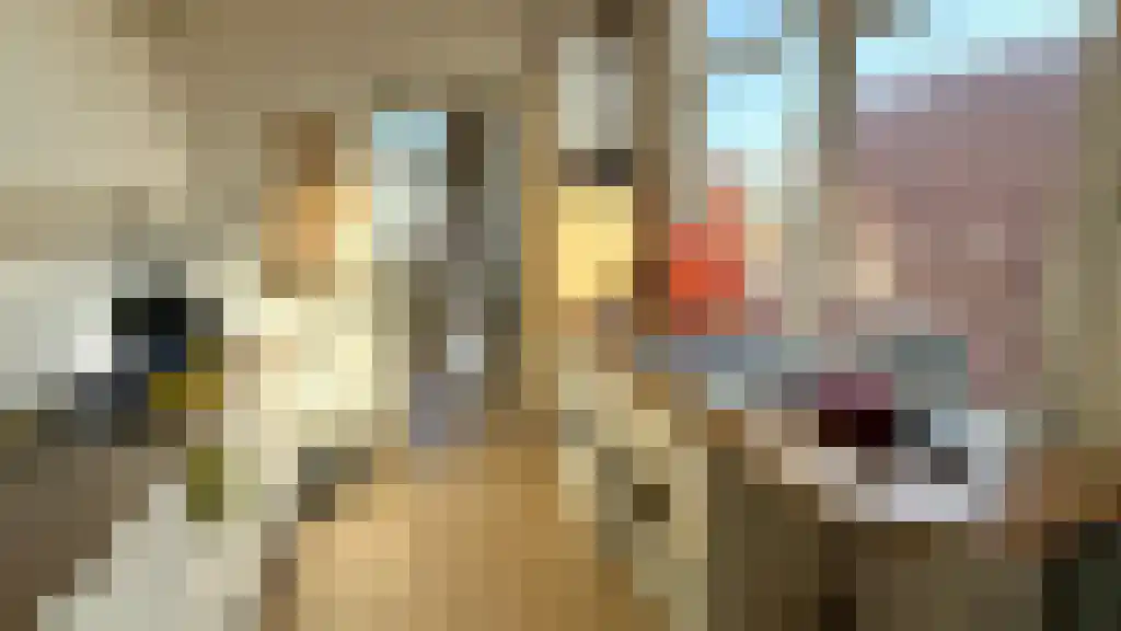 Ohmstraat 112 Den Haag thumbnail 6