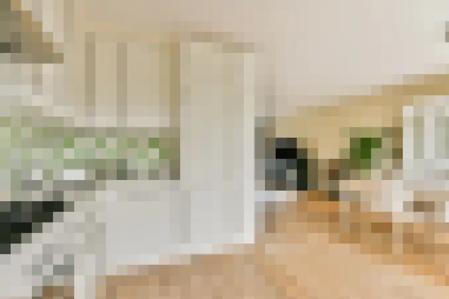 Ohmstraat 12 Badhoevedorp thumbnail 9
