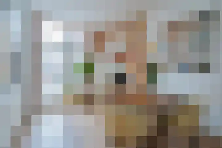 Ohmstraat 12 Den Haag thumbnail 10