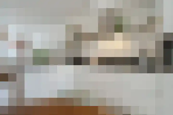 Ohmstraat 12 Den Haag thumbnail 12