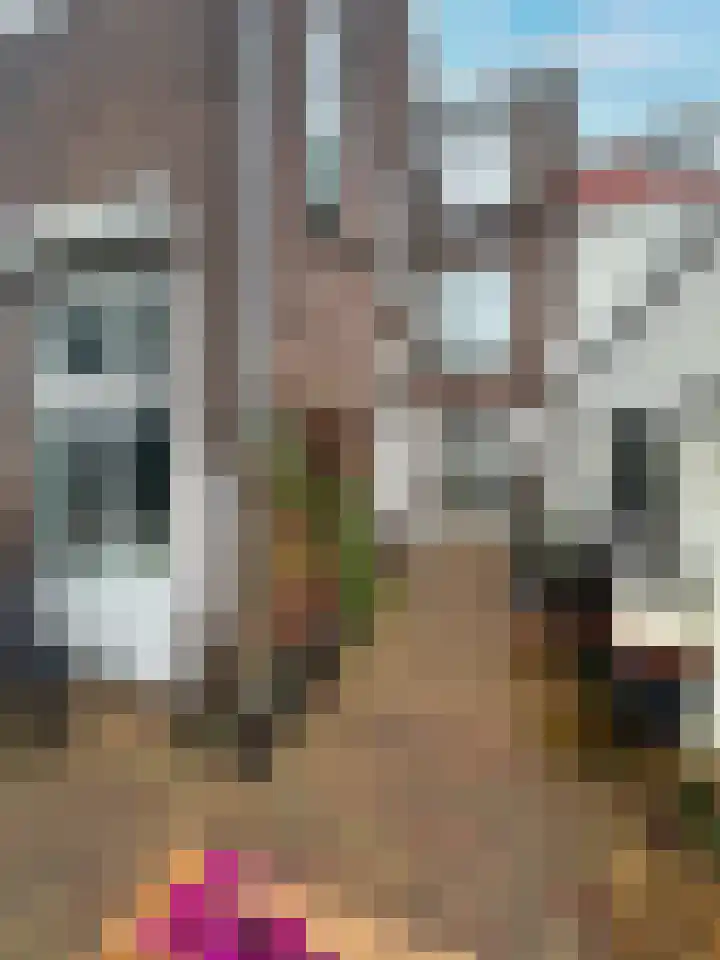 Ohmstraat 12 Den Haag thumbnail 28