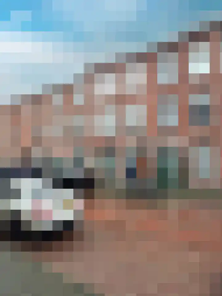 Ohmstraat 12 Den Haag thumbnail 30