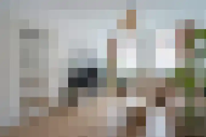 Ohmstraat 12 Den Haag thumbnail 6
