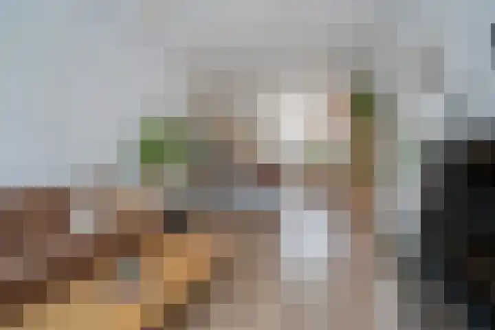 Ohmstraat 12 Den Haag thumbnail 7