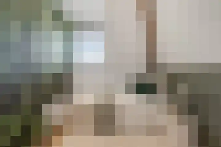 Ohmstraat 13 Wormerveer thumbnail 24