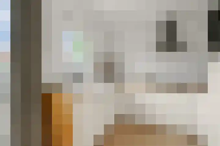 Ohmstraat 13 Wormerveer thumbnail 8