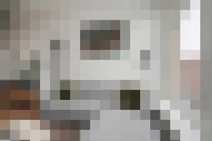 Ohmstraat 130 Den Haag thumbnail 12
