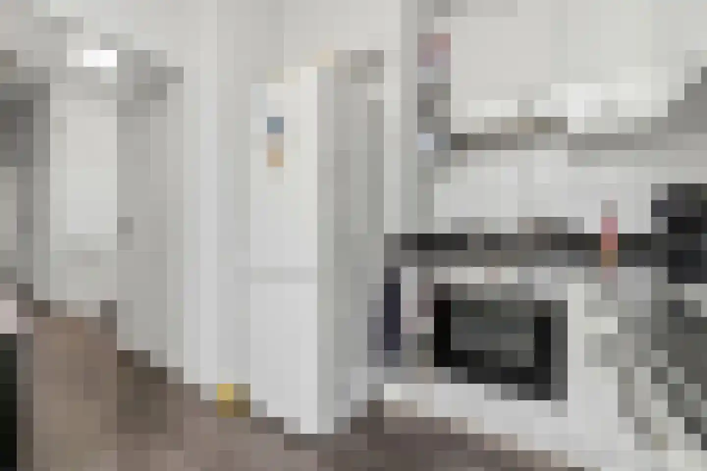 Ohmstraat 28 B 1 Den Haag thumbnail 12