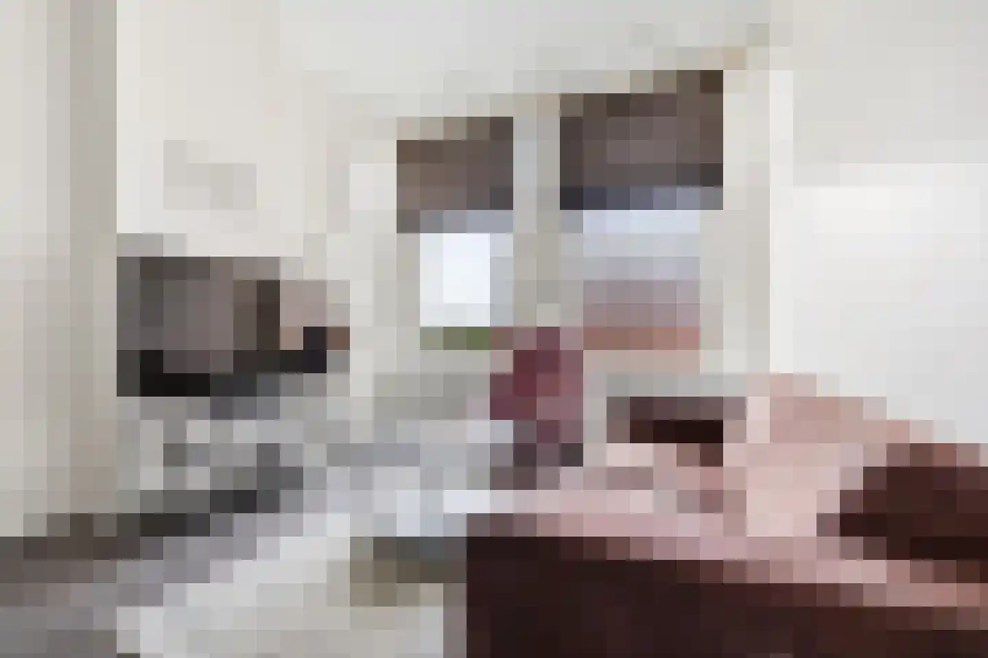 Ohmstraat 28 B 1 Den Haag thumbnail 7