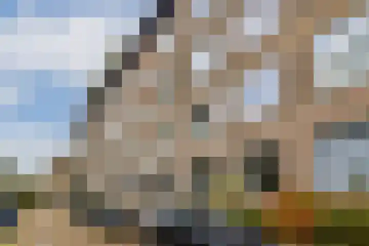 Ohmstraat 3 H Amsterdam thumbnail 20