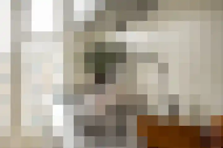 Ohmstraat 3 H Amsterdam thumbnail 8