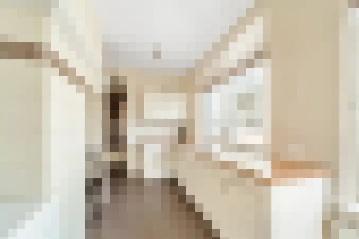 Ohmstraat 34 Den Haag thumbnail 12