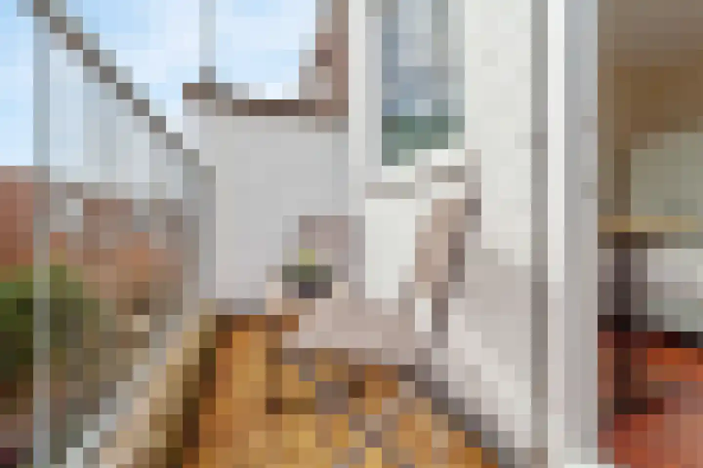 Ohmstraat 34 Den Haag thumbnail 14