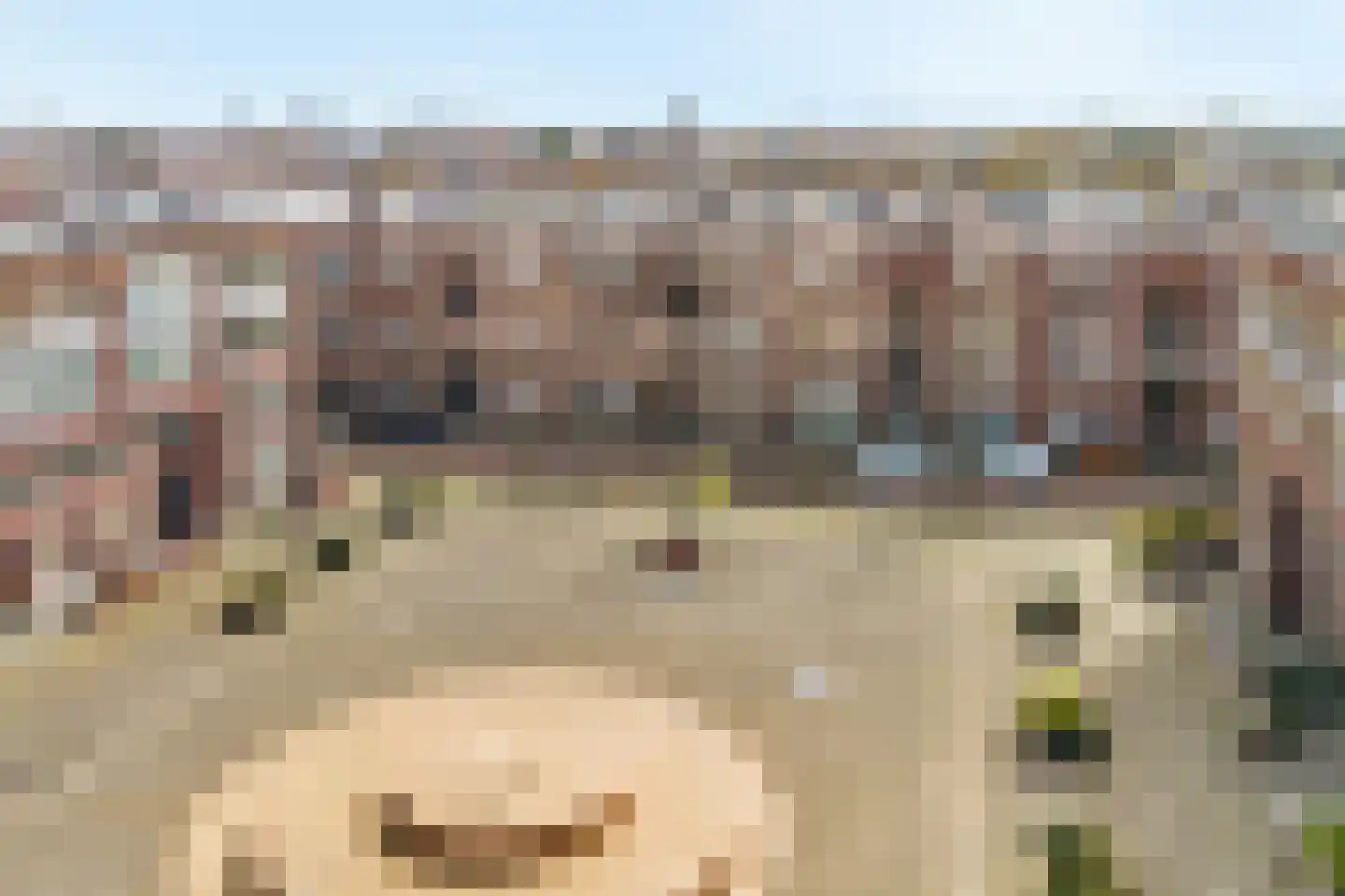 Ohmstraat 34 Den Haag thumbnail 27