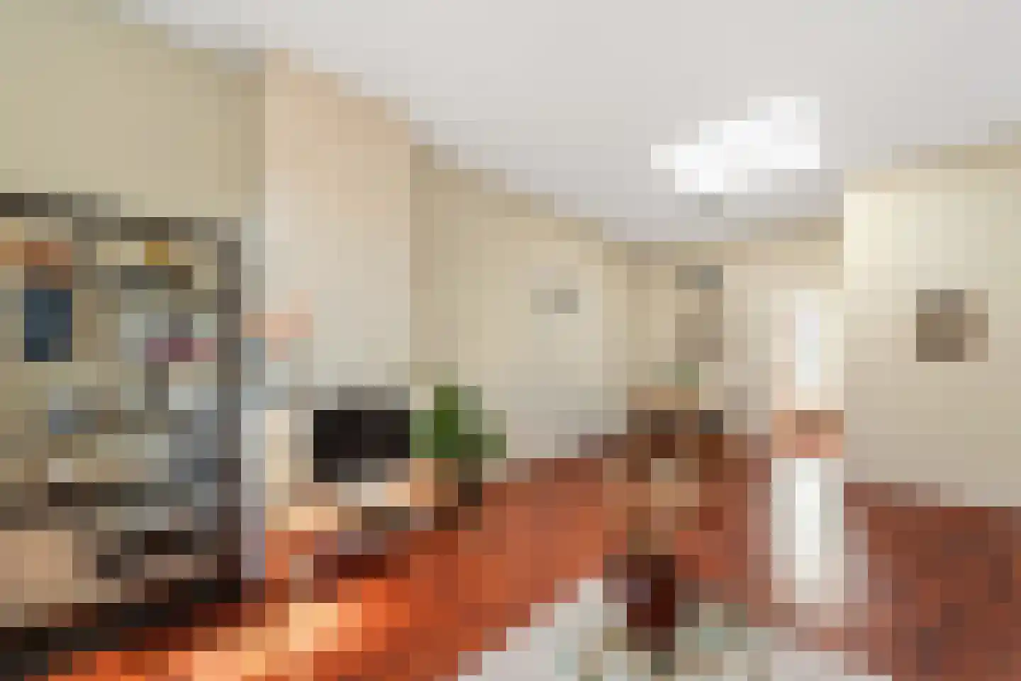 Ohmstraat 34 Den Haag thumbnail 6