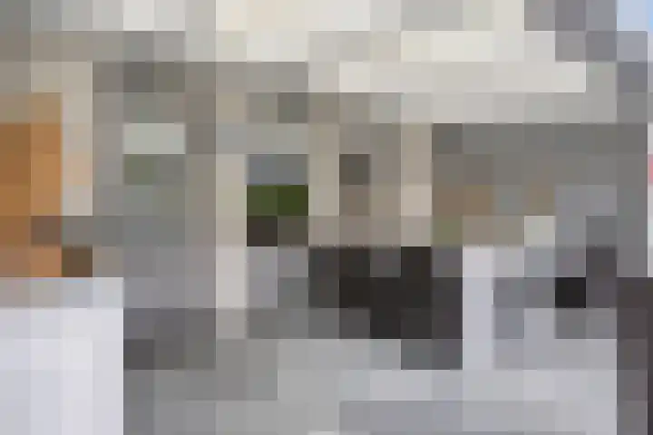 Ohmstraat 34 Den Haag thumbnail 6