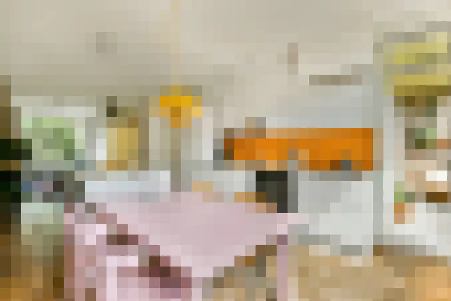 Ohmstraat 5 1 Amsterdam thumbnail 12