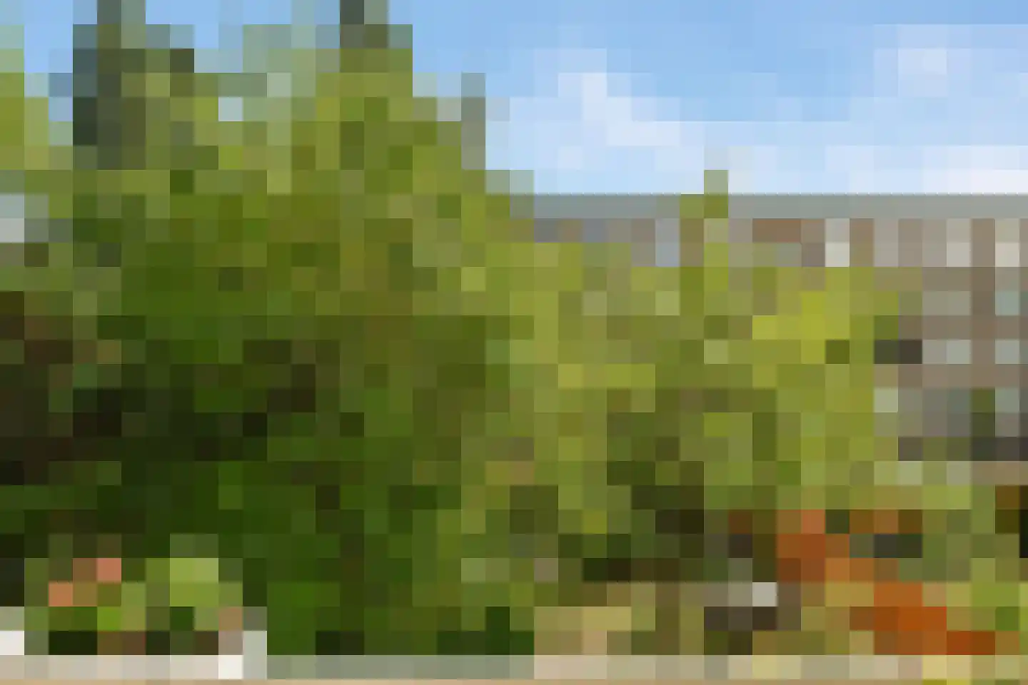 Ohmstraat 5 1 Amsterdam thumbnail 14
