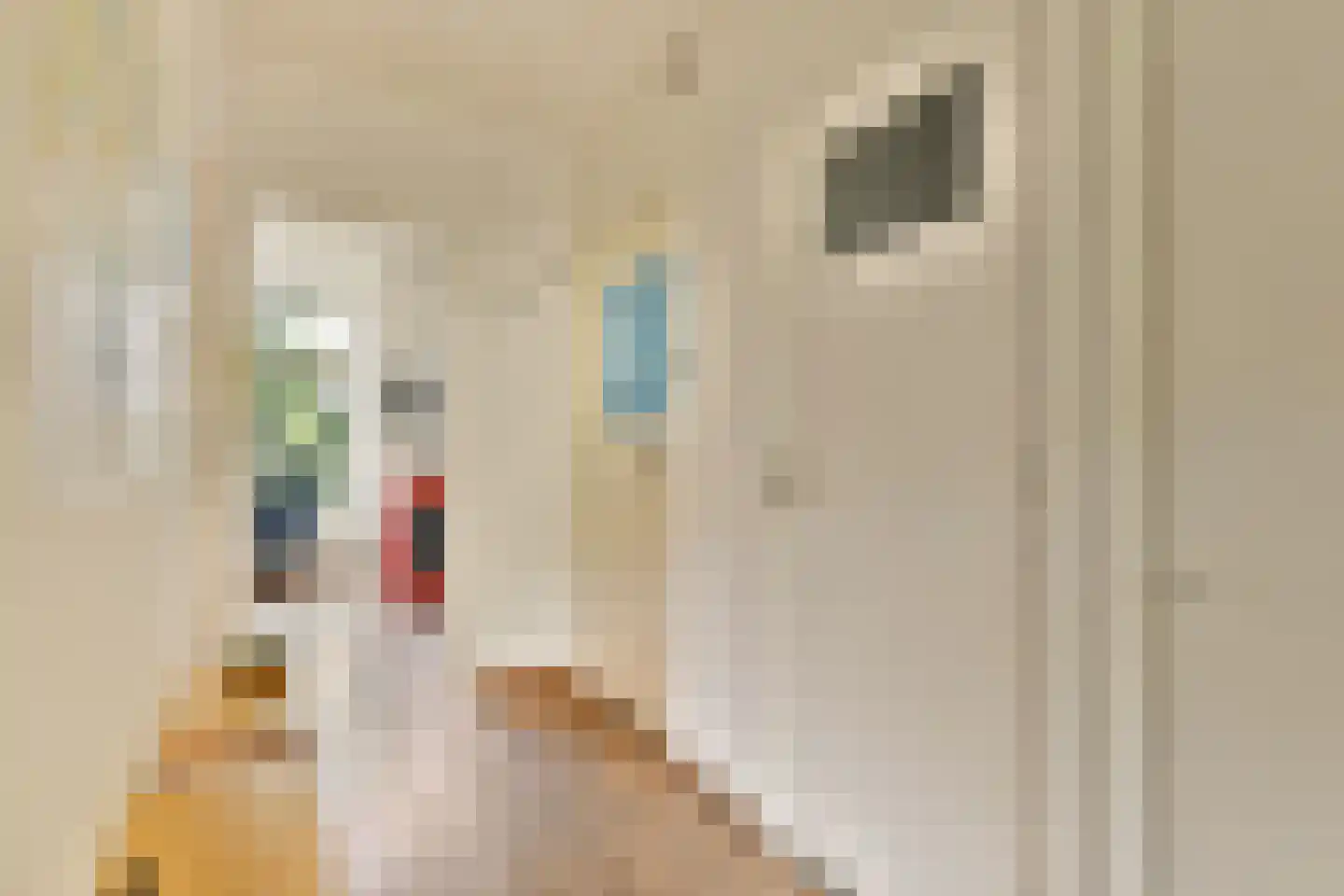 Ohmstraat 5 1 Amsterdam thumbnail 15