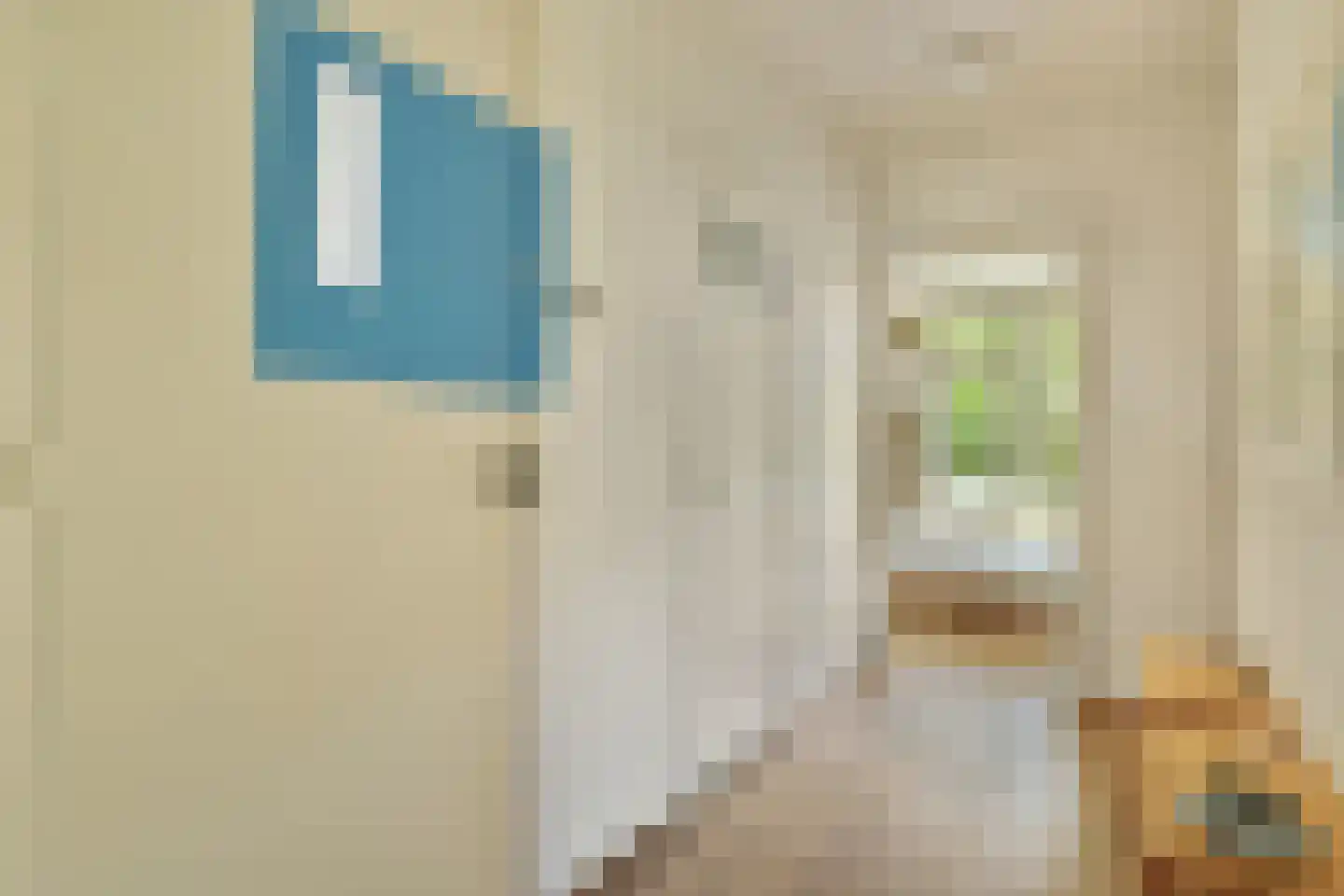 Ohmstraat 5 1 Amsterdam thumbnail 16