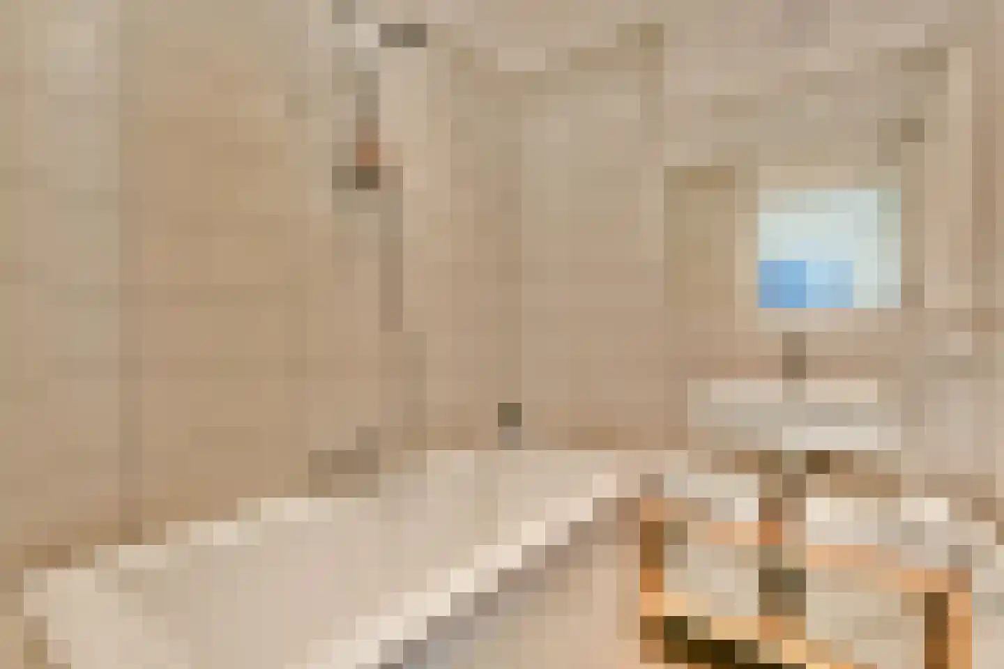 Ohmstraat 5 1 Amsterdam thumbnail 21