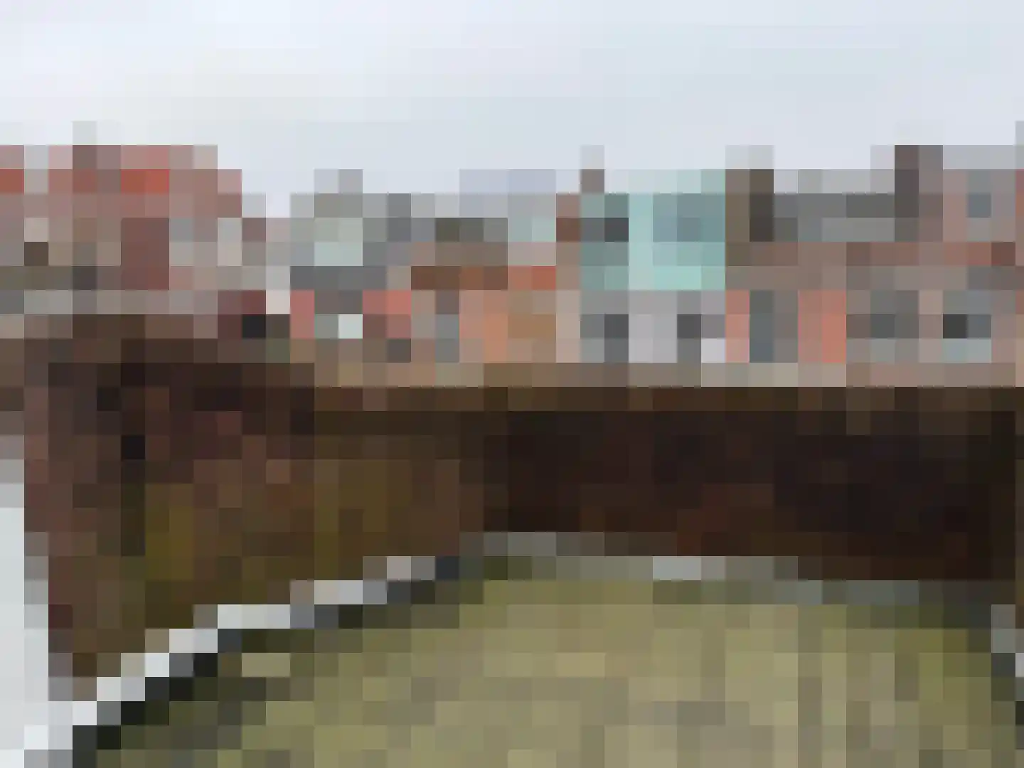Ohmstraat 95 A Den Haag thumbnail 17