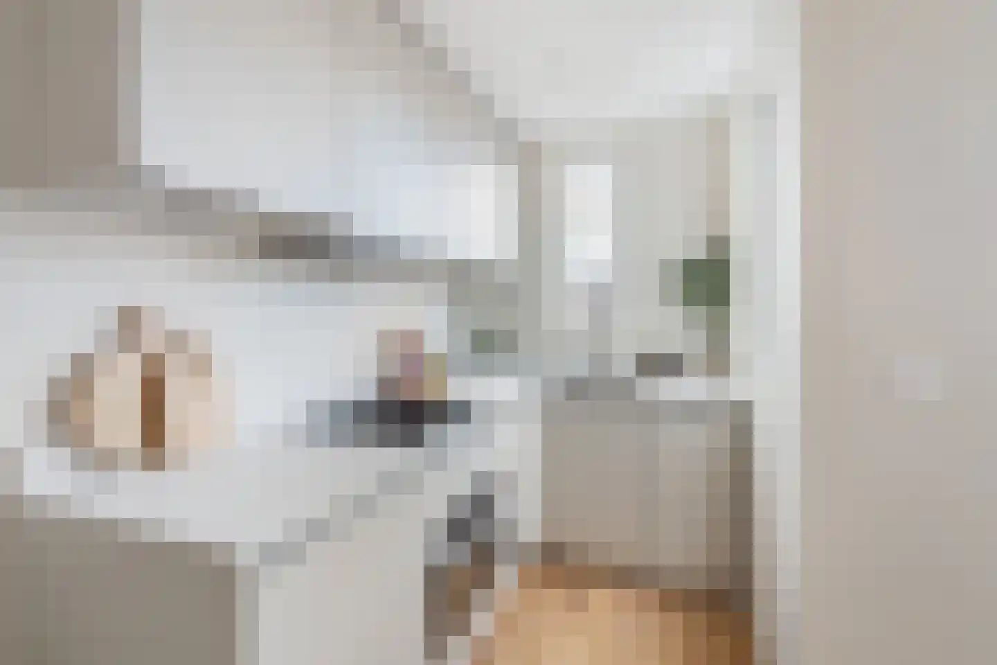 Ohmstraat 95 A Den Haag thumbnail 6