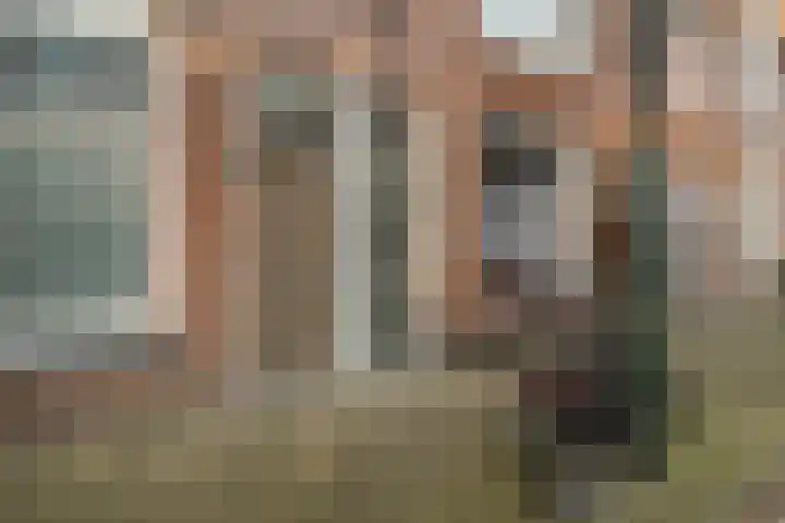Ohmstraat 95 Den Haag thumbnail 16