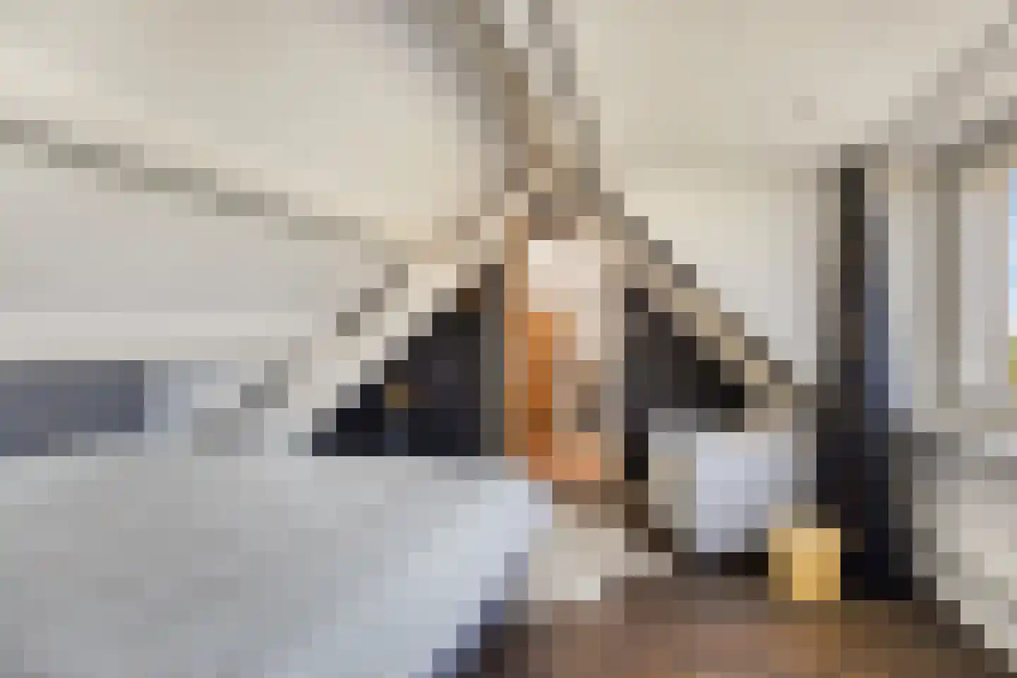 Oijense Benedendijk 15 Oijen thumbnail 21