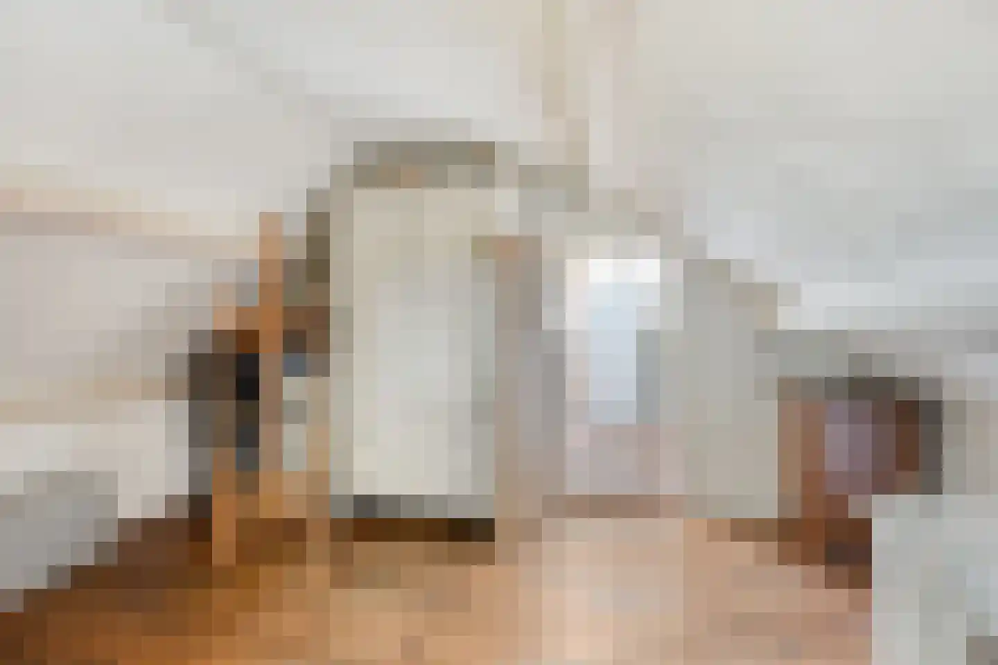 Oijense Benedendijk 15 Oijen thumbnail 30