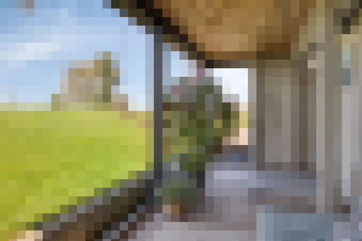 Oijense Benedendijk 15 Oijen thumbnail 33