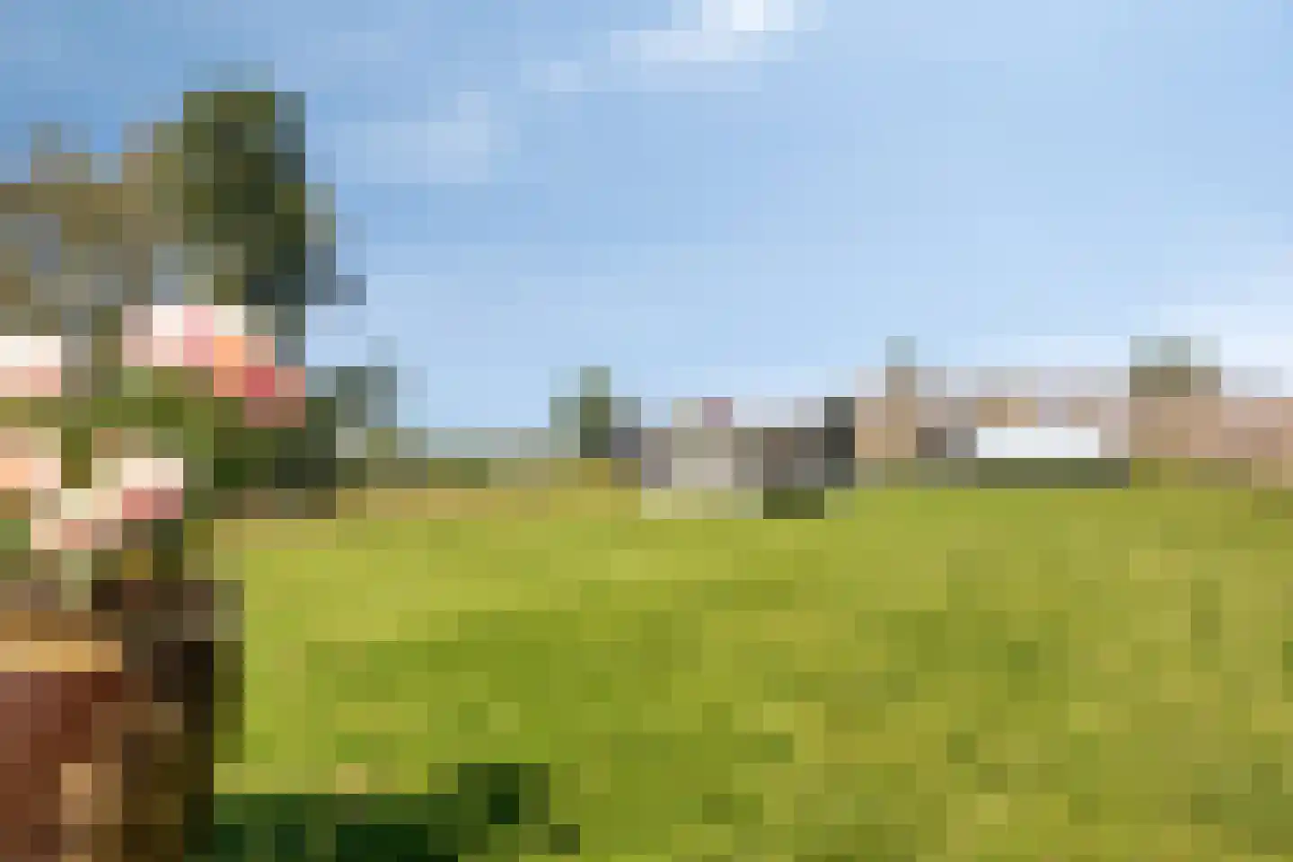 Oijense Benedendijk 15 Oijen thumbnail 36