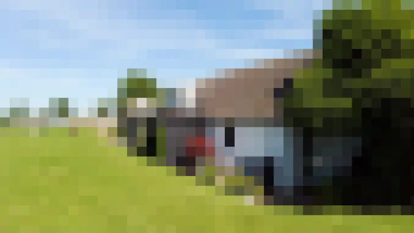 Oijense Benedendijk 15 Oijen thumbnail 39