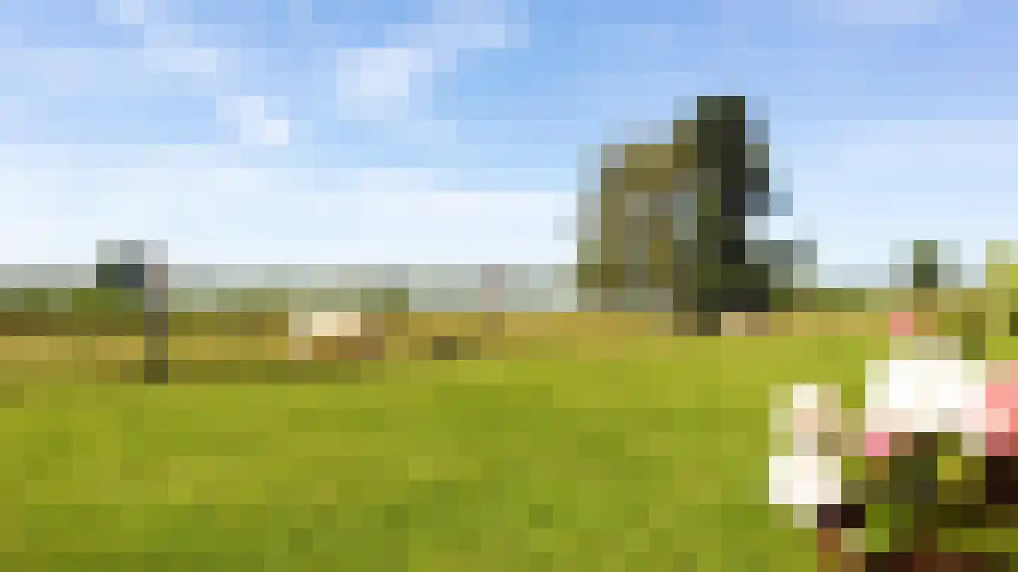 Oijense Benedendijk 15 Oijen thumbnail 41