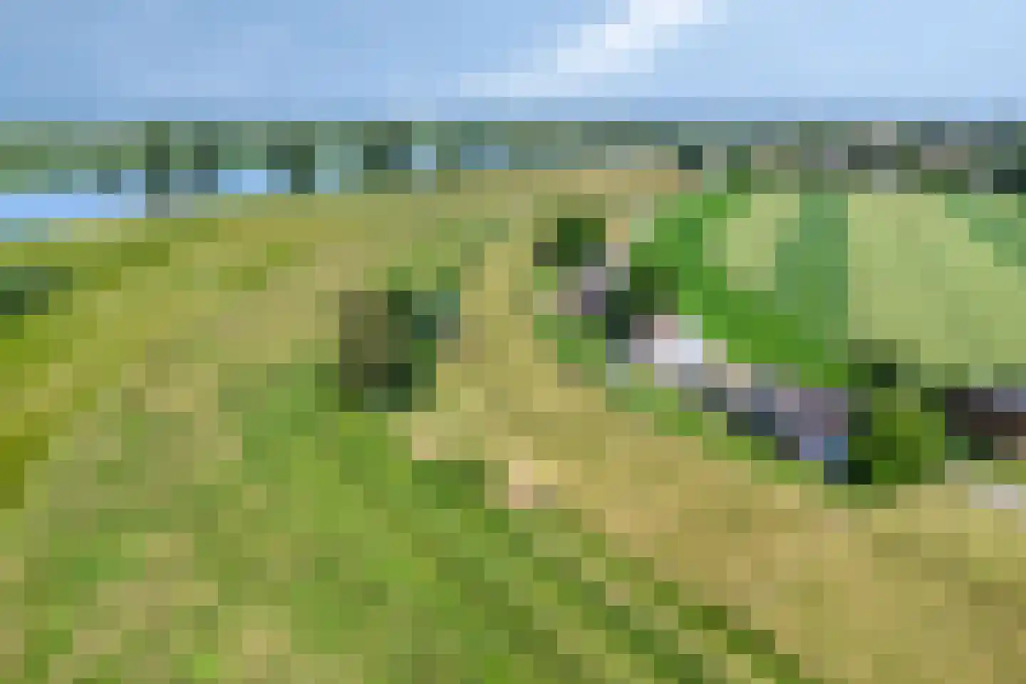 Oijense Benedendijk 15 Oijen thumbnail 45