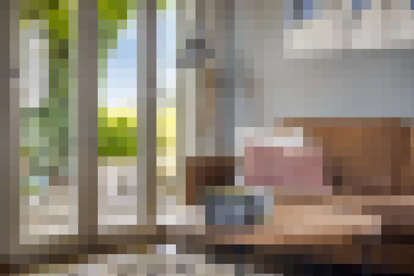 Oijense Benedendijk 15 Oijen thumbnail 8