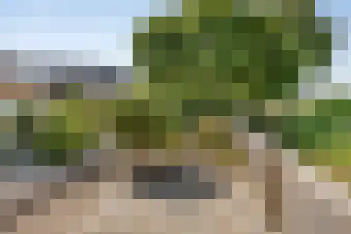 Oijense Benedendijk 3 Oijen thumbnail 31