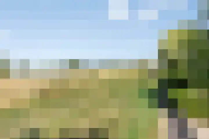 Oijense Benedendijk 3 Oijen thumbnail 35