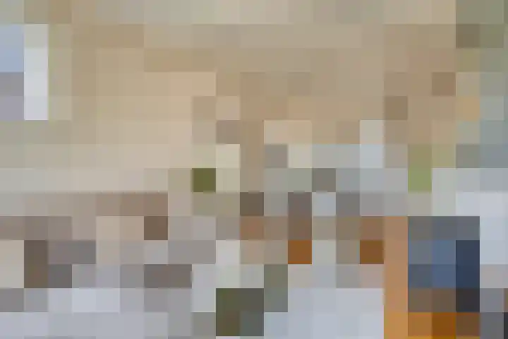 Oijenseweg 126 Oss thumbnail 11