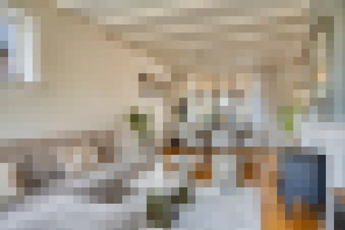 Oijenseweg 126 Oss thumbnail 11