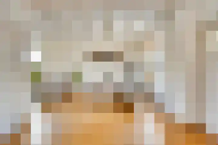 Oijenseweg 126 Oss thumbnail 12