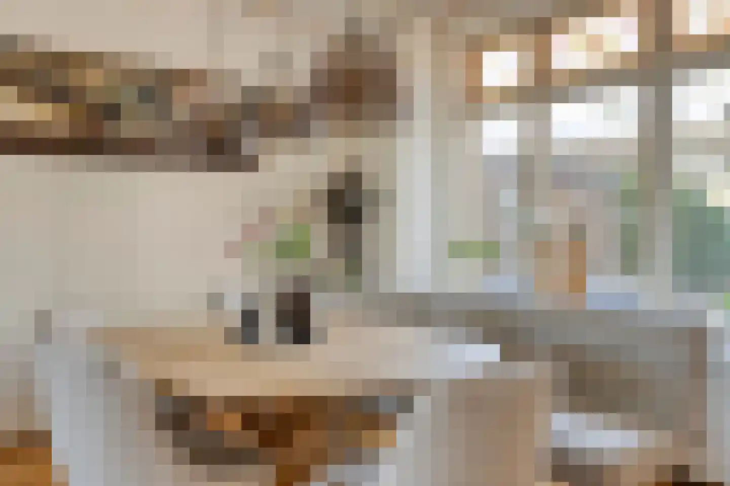 Oijenseweg 126 Oss thumbnail 13