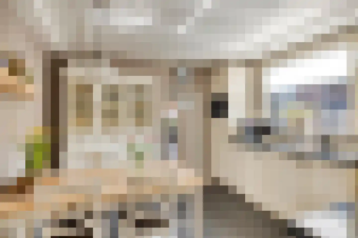 Oijenseweg 126 Oss thumbnail 15